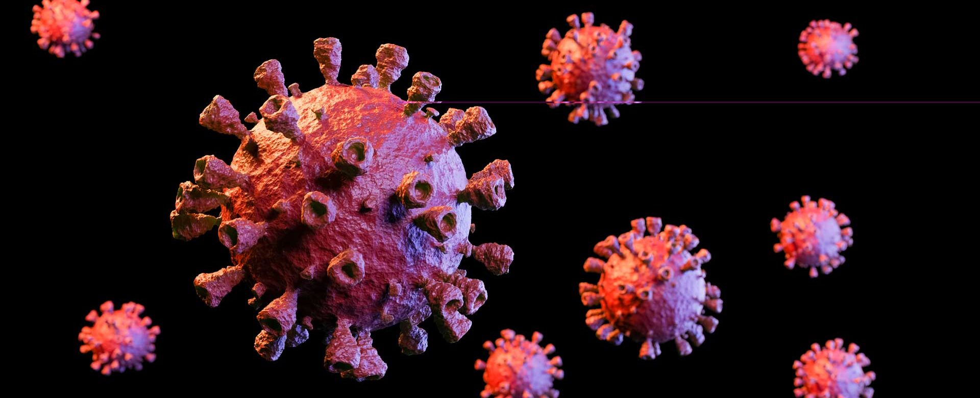 LFC-Virus LFC-Virus